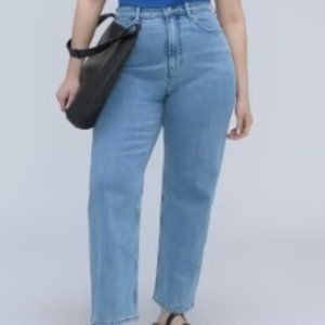 Everlane Womens The Curvy Way-High Skinny Jean Organic Cotton Faded Blue 29